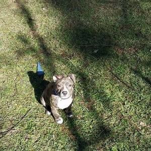 Meet your Posher, Alex